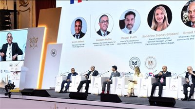 رئيس هيئة الاستثمار: الأزمات الدولية أثرت على نحو مباشر على كافة الاقتصادات العالمية