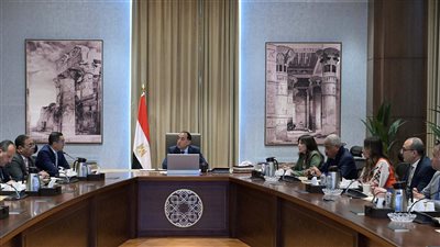 رئيس الوزراء يترأس اجتماع اللجنة العليا لتنظيم فعالية احتفالات افتتاح المتحف المصري الكبير