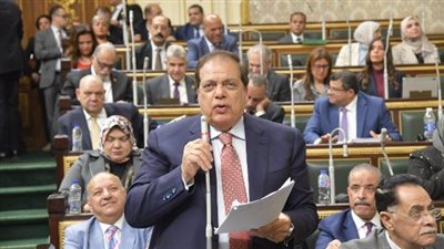 وكيل مجلس النواب: العالم يقدر دور مصر المحورى فى القضية الفلسطينية