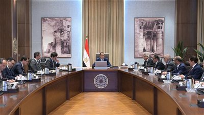 رئيس الوزراء يلتقي أعضاء اللجنة المُشكلة لبحث تحديات ومستقبل الإعلام والدراما المصرية