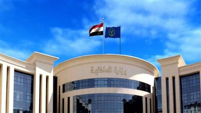 ليا عندهم فلوس ونصبوا عليا.. تفاصيل القبض على المتهم باختطاف أطفال سيدة أجنبية بالقليوبية