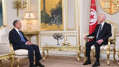 وزير الخارجية والهجرة يسلم رسالة خطية من الرئيس السيسي إلى الرئيس التونسي