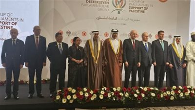 وكيل مجلس النواب خلال أول اجتماع للبرلمانات الداعمة لفلسطين: نرفض التهجير