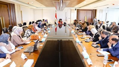 «المشاط» تُوجه بالبدء الفوري في إعداد خطة التنمية متوسطة المدى 