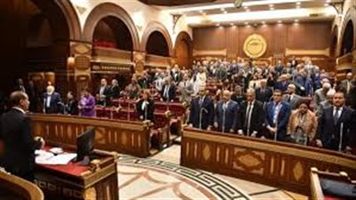 مجلس الشيوخ يُحيل خطة التنمية للعام المالى 25/26 للجنة الاقتصادية