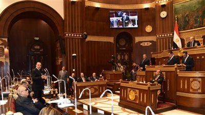 برلمانية: شركات قطاع الأعمال تمتلك أصولا وطاقات بشرية يجب استغلالها