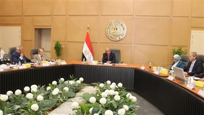 وزير الكهرباء: إعادة هيكلة الشركة المصرية كمشغل مستقل لمنظومة نقل الكهرباء 