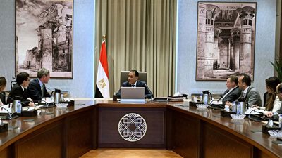 رئيس الوزراء يستقبل الرئيس التنفيذي لشركة 