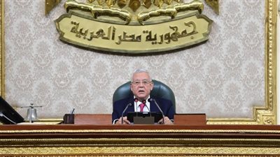 رئيس مجلس النواب يؤكد موقف مصر الثابت من القضية الفلسطينية