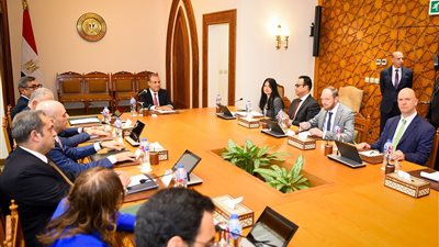 وزير الخارجية والهجرة يستقبل وفد من مجموعة 