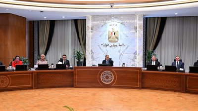 رئيس الوزراء: الجولات المُوسعة بمناطق التطوير في المنطقة الاقتصادية لقناة السويس دعماً لتوجه الدولة نحو توطين مختلف الصناعات 