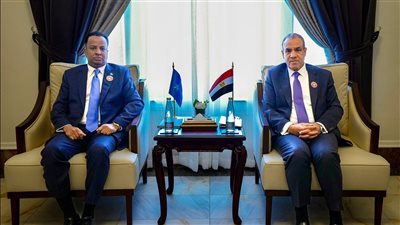 وزير الخارجية والهجرة يلتقي بوزير خارجية الصومال على هامش الاجتماع الوزاري التحضيري للقمة العربية