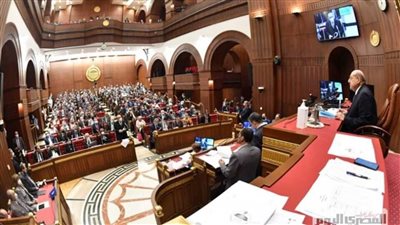 مجلس الشيوخ يوافق على تقرير خطة التنمية الاقتصادية والاجتماعية لعام 26/2025