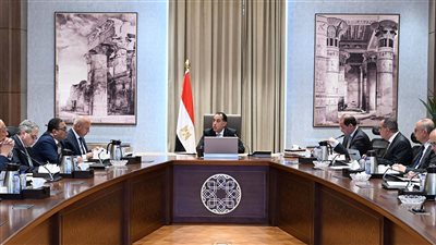 رئيس الوزراء يتابع الموقف التنفيذي لتطوير المنظومة الجمركية وإجراءات التسجيل المُسبق للشحنات