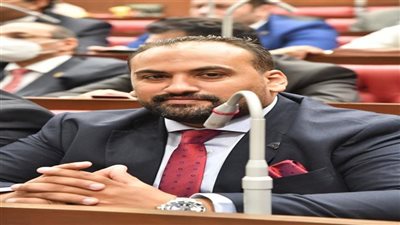 النائب محمد الرشيدي :تعديلات قوانين الانتخابات تدعم مسار الإصلاح السياسي وتعزيز المشاركة وضمان التمثيل العادل