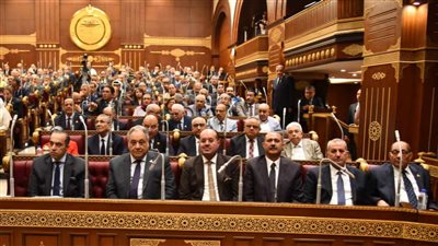 مجلس النواب يوافق نهائيا على تعديل قانونى مجلس النواب وتقسيم الدوائر