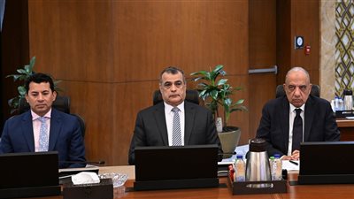 مجلس الوزراء يستعرض مشروعات خطة وزارة الكهرباء للوصول بالطاقات المتجددة إلى نسبة 30% حتى عام 2030