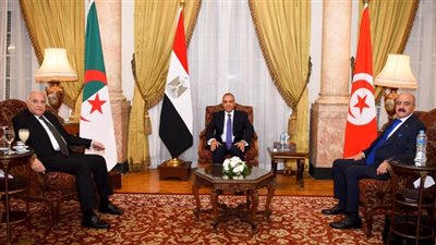 تفاصيل البيان الختامي لاجتماع وزراء خارجية مصر وتونس والجزائر بشأن ليبيا