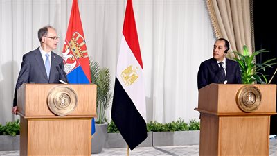 ماتسوت: مصر هي نقطة الاستقرار في منطقة الشرق الأوسط والبحر المتوسط ويجب أن تبقي كذلك