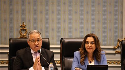 وزيرة التنمية المحلية تستعرض مشروعات البنية التحتية لمنظومة المخلفات أمام لجنة الإدارة المحلية بالنواب