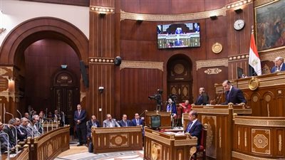 مجلس الشيوخ يحيل 23 تقريرا للجان النوعية إلى الحكومة