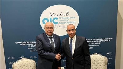لقاء على هامش اجتماع مجلس وزراء خارجية منظمة التعاون الإسلامي في أسطنبول بين وزير الخارجية ونظيره الجزائري