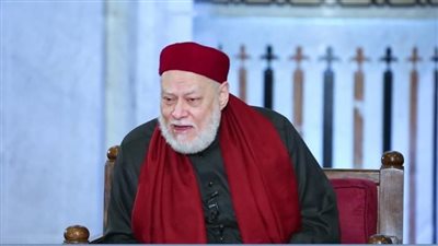 على جمعة: التكامل بين الدولة والمجتمع المدنى والقطاع الخاص يحقق التنمية المستدامة