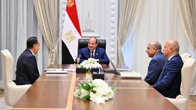 الرئيس السيسي يوجه بمُواصلة جهود تحسين خدمات الكهرباء في جميع المحافظات