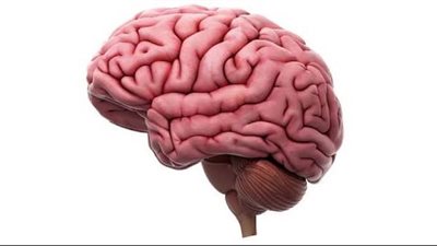 دراسة: تحفيز الدماغ كهربائيًا يؤدي إلى تحسين مهارات الرياضيات