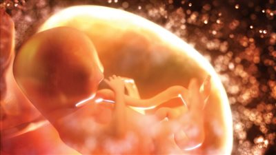 متى ينشأ الشعور بالألم لدى الإنسان؟.. دراسة تحسم الجدل