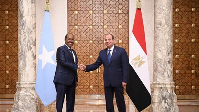 رئيس الصومال في مصر.. والسيسي: بحثنا الأوضاع في القرن الإفريقي والبحر الأحمر