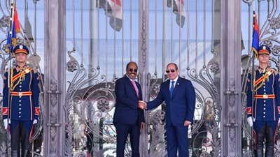 الرئيس الصومالي: مصر شريك قوي وصديق دائم للصومال