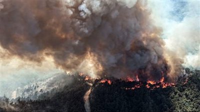 الأمم المتحدة تؤكد استعدادها لدعم جهود سوريا فى حرائق اللاذقية