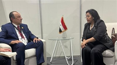 وزير قطاع الأعمال يجتمع مع الرئيسة التنفيذية لوكالة تنمية الاتحاد الأفريقي 