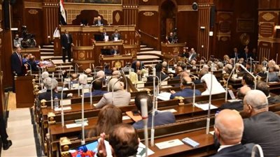 قيادي بمستقبل وطن: مجلس الشيوخ يعزز الاستقرار ويرسخ دعائم الديمقراطية ومشاركة المواطنين تدعم التنمية