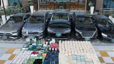 تجديد حبس المنتجة سارة خليفة فى اتهامها بترويج وتصنيع المواد المخدرة 45 يوما