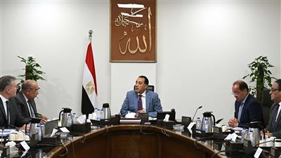 رئيس الوزراء يتابع إجراءات توفير الاعتمادات المالية المطلوبة للمواد البترولية اللازمة لتشغيل محطات الكهرباء 