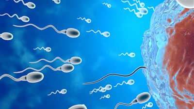 لا تقتصر على الخصوبة فقط.. جودة السائل المنوي مؤشر لصحة الرجال العامة