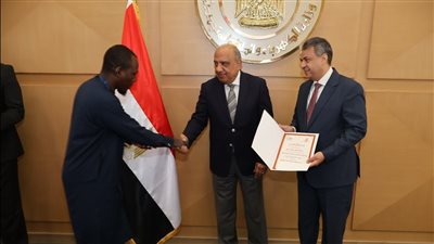 وزير الكهرباء: القيادة السياسية تولي اهتمامًا خاصا بتعزيز التعاون مع الدول الأفريقية