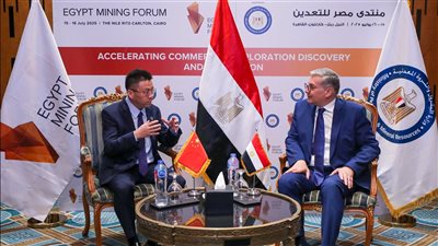 وزير البترول يلتقي وفد 