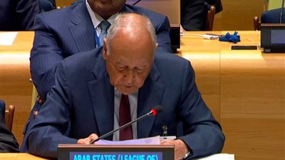 حل الدولتين أو لا تعايش.. أبو الغيط يحذر إسرائيل من وهم التطبيع