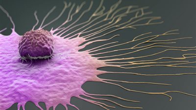 اختراق هام في علاج سرطان الثدي.. اكتشاف مفتاح رئيسي لمنع تطور وانتشار المرض