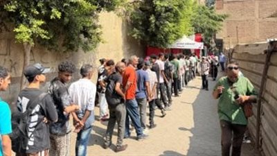 انتخابات مجلس الشيوخ 2025.. إقبال على لجان أرض اللواء بالجيزة