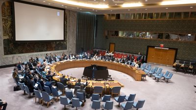 نداء فلسطيني عاجل لمجلس الأمن الدولي