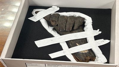 مصر تسترد من بريطانيا وألمانيا آثارا 