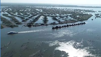 نفوق الأسماك في أكبر بحيرة بالبلاد وبيان رسمي حولها