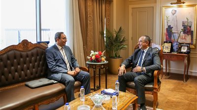 وزير قطاع الأعمال العام يستقبل محافظ قنا لبحث تعزيز التعاون ومشروعات تنموية واستثمارية بجنوب الصعيد