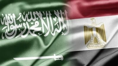 بيان مصري سعودي بعد قرار إسرائيل حول غزة