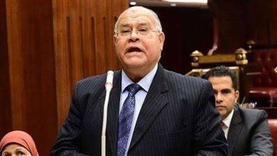 رئيس حزب الجيل: مصر الدرع الواقي للقضية الفلسطينية