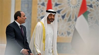 مسؤول إماراتي يتحدث عن أكبر مشروع من نوعه عبر مصر في غزة